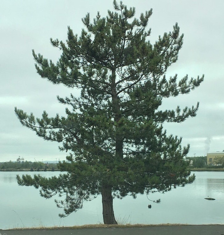 15张震撼的照片，让人不禁感叹世界的奇妙