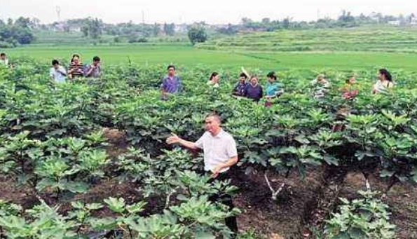  #收益#1斤4元，一瓶收益160元，种植40亩卖不出去，农民:下一年