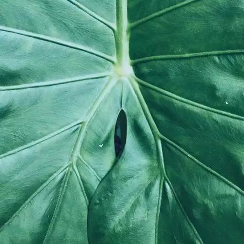 太实用了,用手机拍出好片的10个绝招!