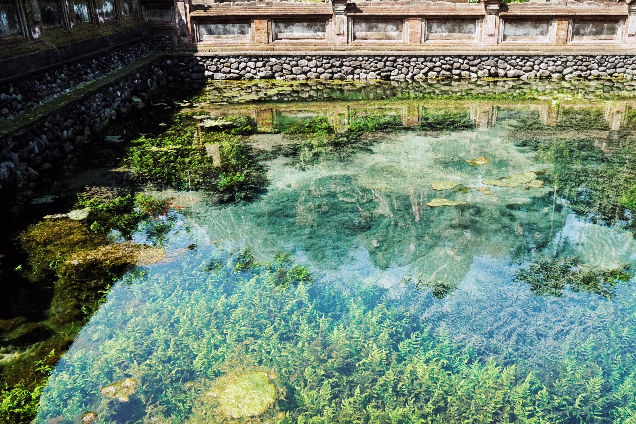 【许多唐看世界】巴厘岛——清风吹拂夏日,享受阳光、沙滩、比基