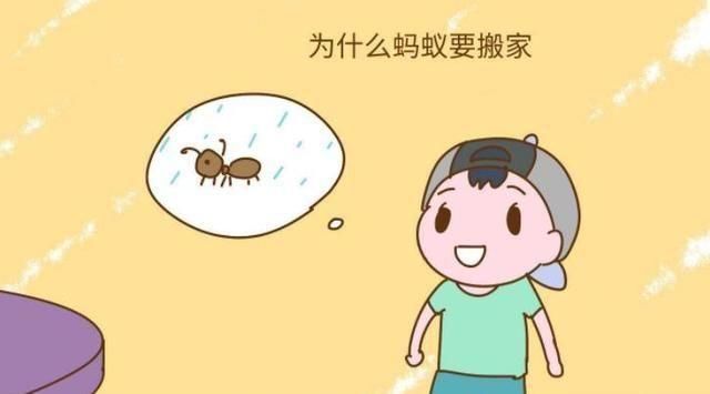  孩子：长大后有出息的孩子，12岁前会有这些征兆，占一个也能出人头地