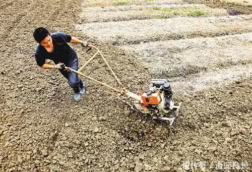 好消息！2019年农村又发钱了，白补偿2000元，不要白不要