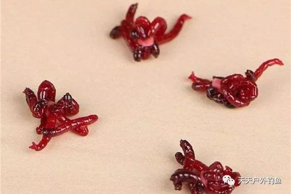  难事|初冬鲫鱼难钓？那是方法不对，就用这三招，鲫鱼连竿不是难