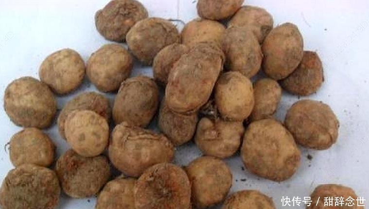  产值：农村一种野草，是农民致富好项目，现在亩产值高达30000元