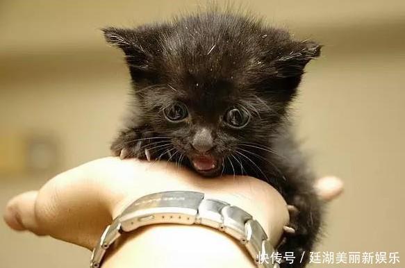 病毒感染会出现