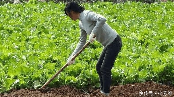 土地确权后, 国家会启动新一轮分地吗? 权威解答来了! 你满意吗?