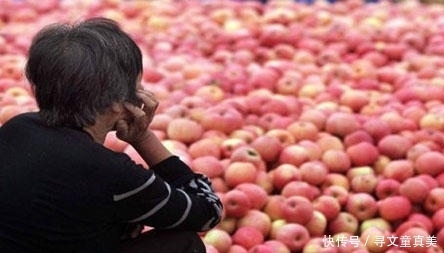  [超市]产地苹果5毛1斤卖不掉，超市零售价要5元，中间商到底赚了