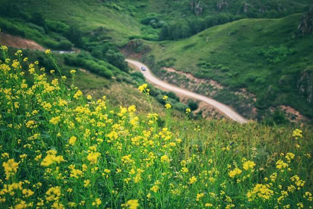 丰宁除了坝上草原，还隐藏着一个中国最美森林自驾者的天堂