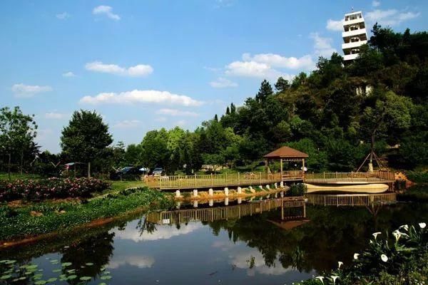 今年夏天,贵州突如其来地火了!