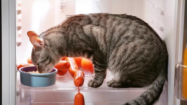  「食物」生活小常识:这些食物不能放冰箱!不能保鲜而且坏得更快!