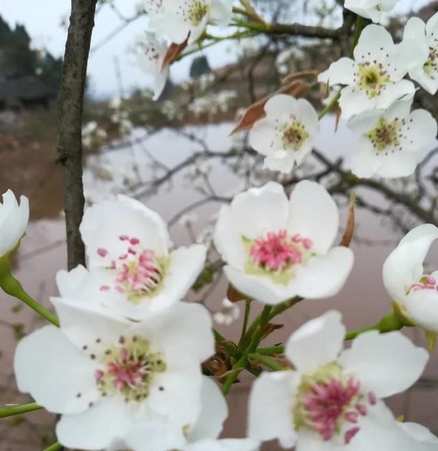 传统■台钓与传统钓的线组如何通用!试试这样用