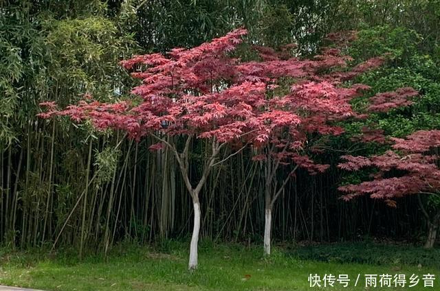『感受』快过来,感受大自然强大的治愈力