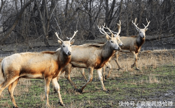 一条越过长江的高铁开工了, 经过江苏3个重要城市