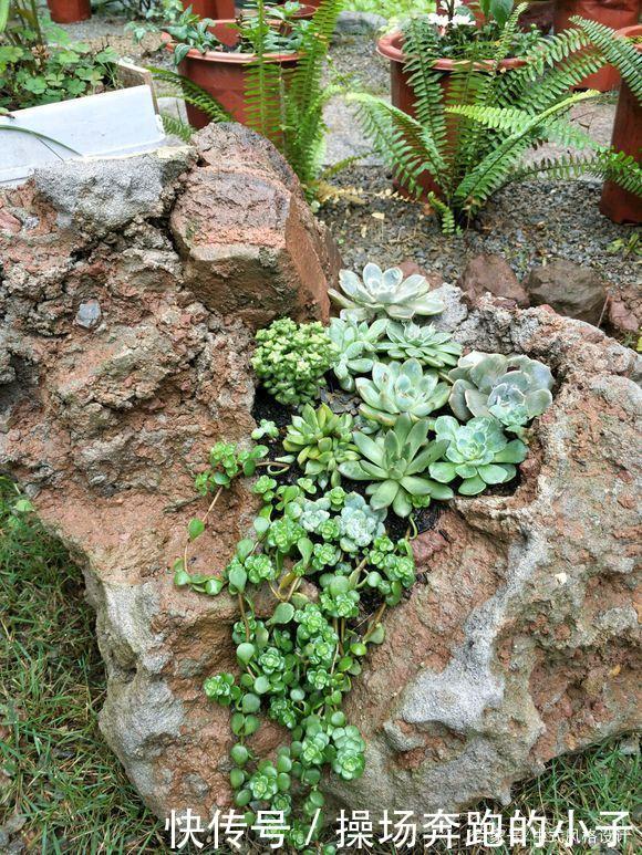  「李小姐还」她将荒芜的后院，改造成最美花园，完工一年后，让人惊艳
