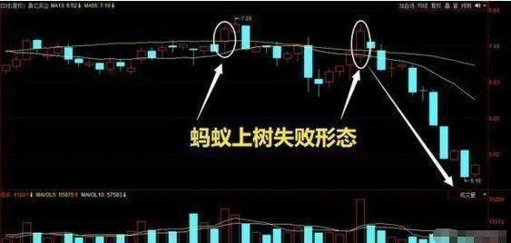  「股市」中国股市：为什么95%是要被市场打败出局？看不懂的请离开股市