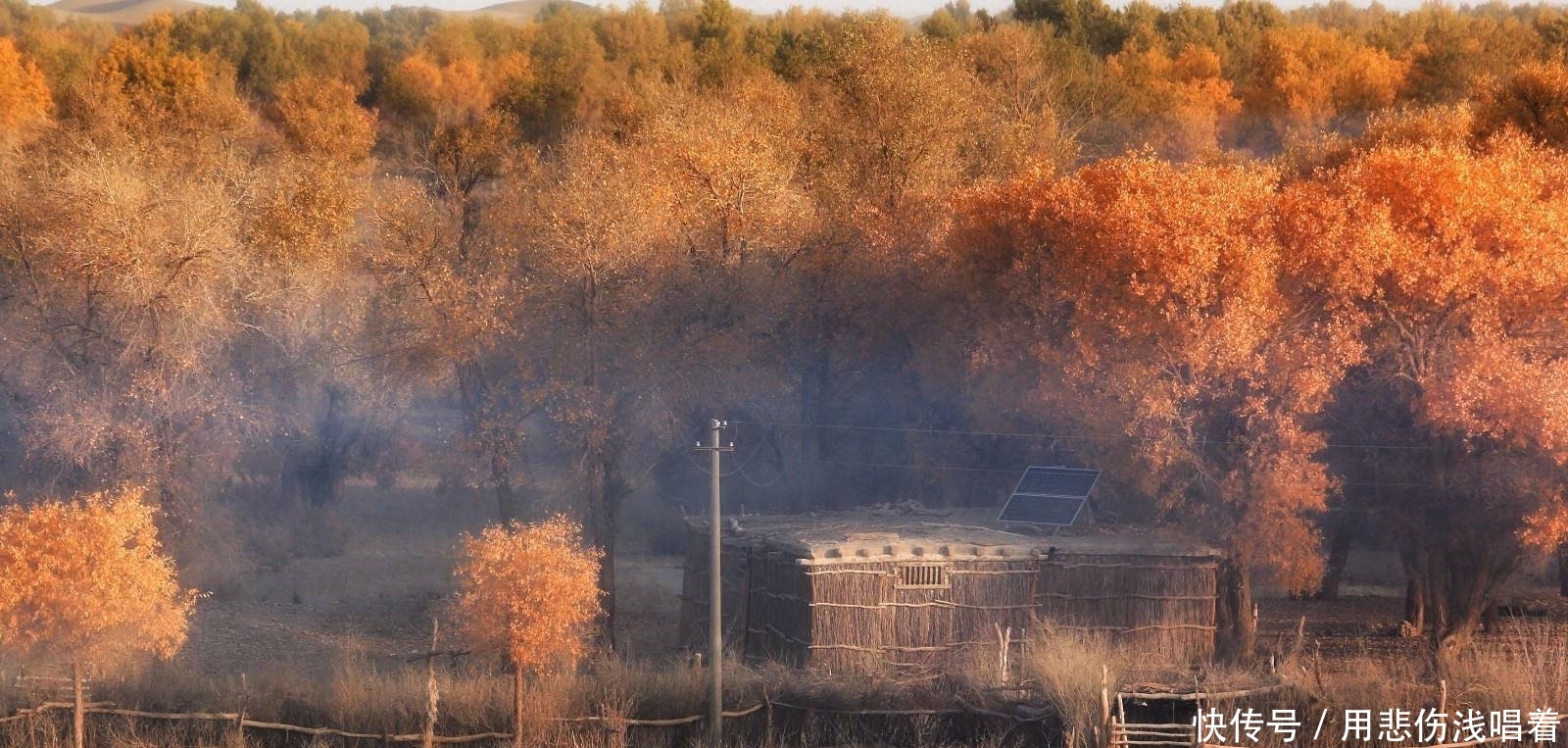  「绿洲就」我国范围最大的村庄，面积相当于70个澳门，开车出村