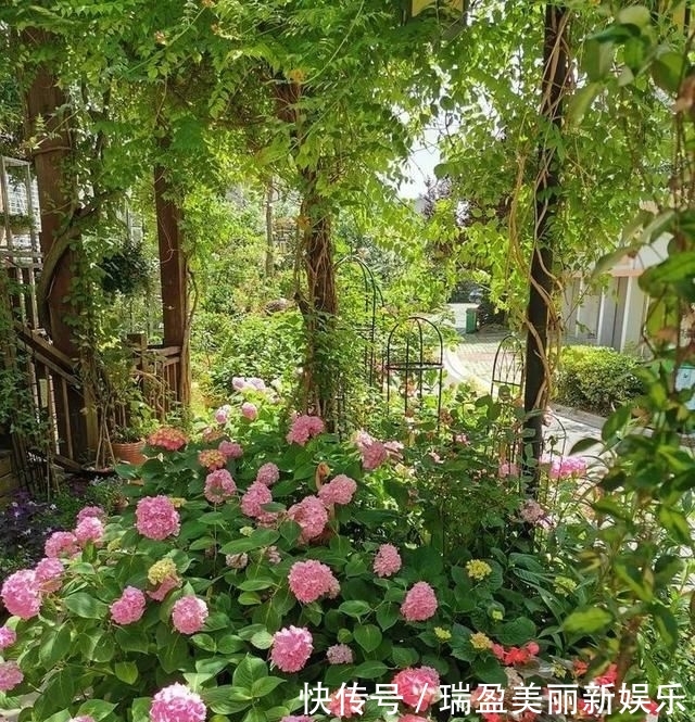  「平方」有了30平方的小院，能将日子过成了诗？简单而精致，优雅而从容！