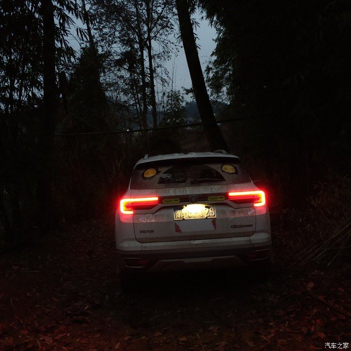 老司机看不了了啊