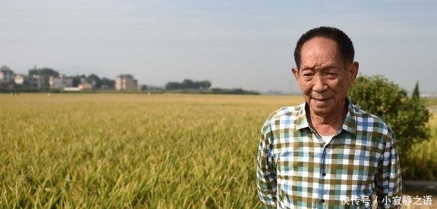袁隆平：粮食靠进口，农民却不种地，人家不卖给我们粮食就麻烦了