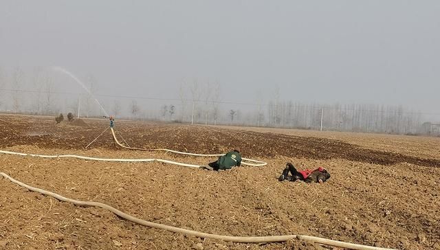  当床■大田地里生火做饭，农民打工日挣百元：天当被子地当床