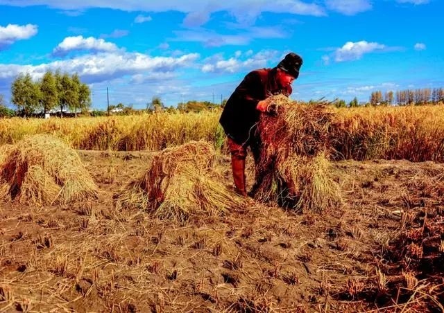  发生@“立春在腊月间，明春无倒春寒”，准吗？2020年立春在哪天