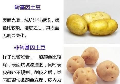 农民为啥害怕转基因的东西？