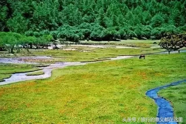 《爸爸去哪儿6》在这录制，这个安静的地方又要火了~