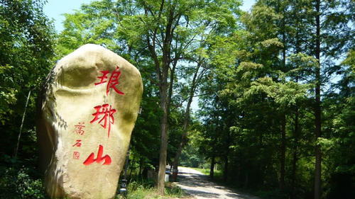 山东又一“黑马”城市，面积是深圳的8倍，网友：爆发将超越青岛