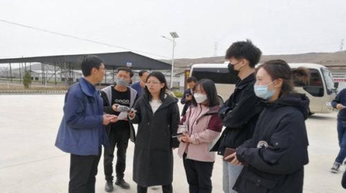 『平凉红牛』“奔赴”香港闯“钱途”静宁有个“致富宝”