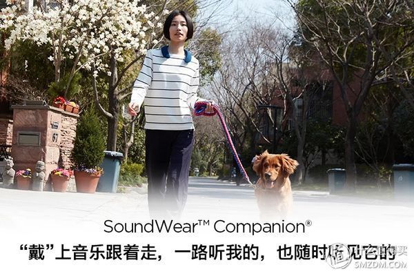 信仰之力的延展 Bose Soundwear 扬声器 剁手记