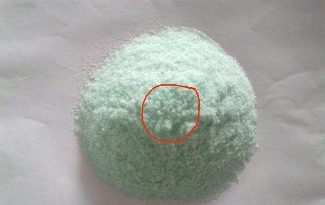  搞定|栀子花发黄，一招搞定，就是这样简单