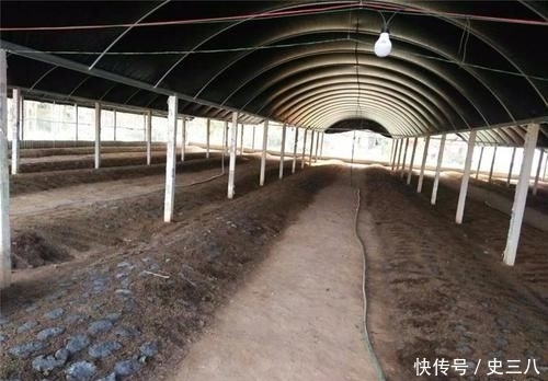  稀罕■以前钓鱼常去挖，如今有人大量养殖，拉出粪成“稀罕货”