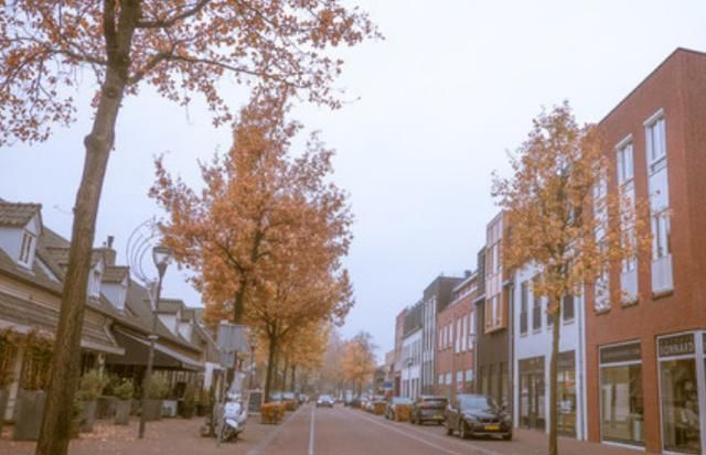 国外“高逼格”村庄，多次出现在梵高笔下，满满的艺术气息！