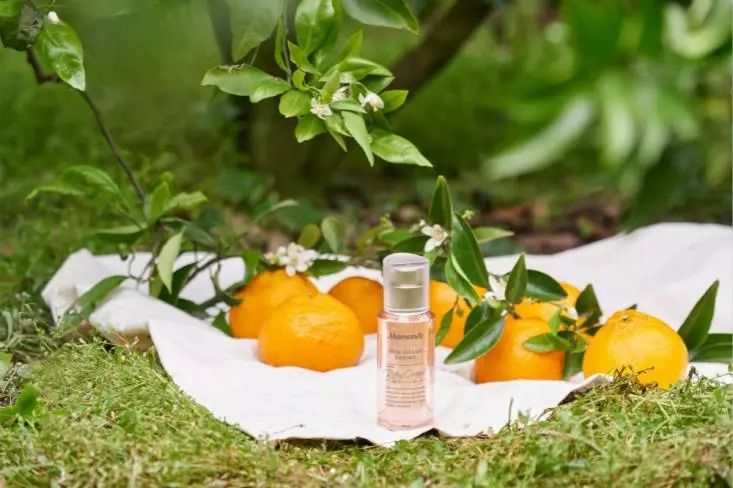 练习生大揭秘，快看“橙”意满满的杨非同为你准备了什么?