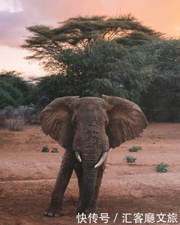 有了这些ins风拍照技巧，你还怕在朋友圈里不能胜出么？