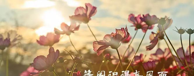 10首带颜色的诗词，赋予了色彩不一样的诗意，美得令人陶醉