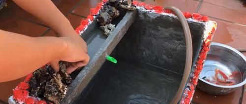  花钱买：鱼缸不用花钱买了，老爸裁开泡沫箱来养鱼，如同砖砌的，省钱好看