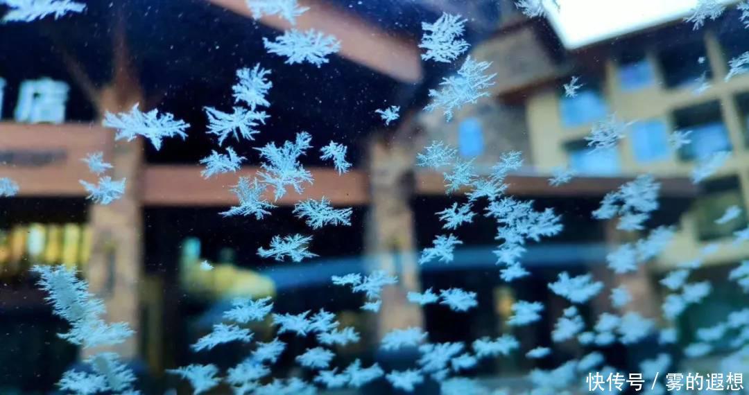 今日冬至:好吃不过饺子,好玩不过白云山