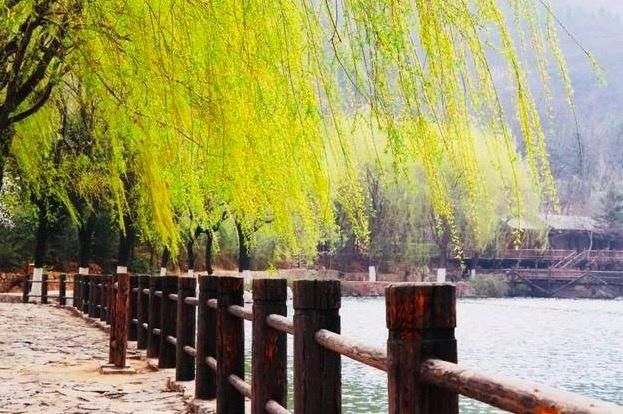 杨万里的这首诗太美,短短二十八字,便惊艳了整个!