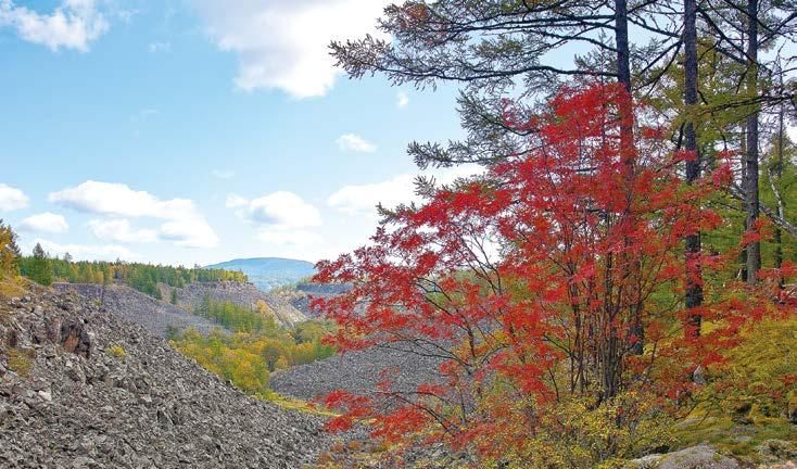  「你好」世界你好，我是内蒙古 阿尔山