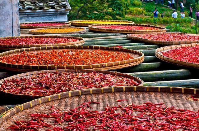 秋天的模样，篁岭都有了!不如趁着人少的初秋去看晒秋节