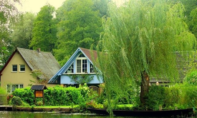  房子|胆子真够大！在农村蔬菜大棚盖房子，创造性思维是不是用错