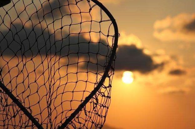  「自然保护」又一物种灭绝！长江白鲟，我们从未遇见，但听闻已