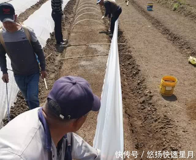 袁隆平又有大动作！