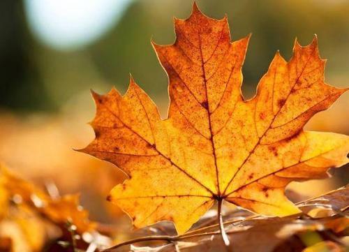 天气渐凉，下半身“肉”多的女人，这3种长裤尽量少穿，太显矮！