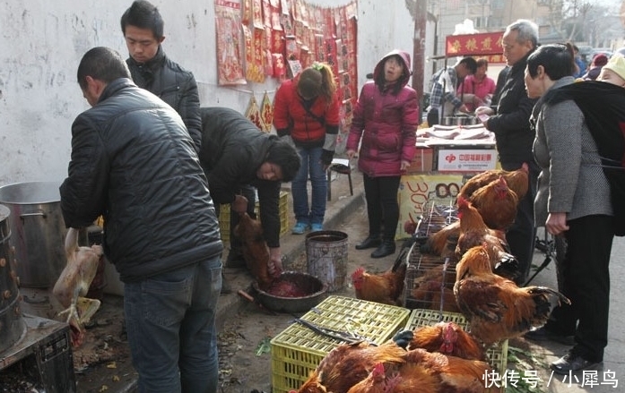 曾被“疯抢”的土鸡，如今拿到城里却没人买，农民：这是为啥？