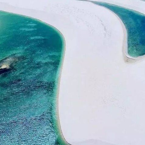 世上最奇沙漠！巴西千湖沙漠：水比沙多、还有鱼虾“美得像仙境”