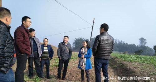 今年开始，农村土地有以下4种情况的，将不能再种地了，有你家吗