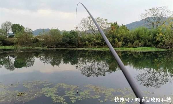 试试:钓鱼必杀技:久坐无鱼咬钩,试试这些狠招数,咬钩量翻几倍!