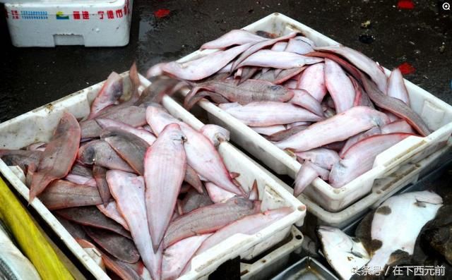 青岛海鲜早市，梭子蟹开始上市，价格逐渐走低，活蟹25元一斤